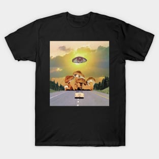 Shrooms kingdom T-Shirt